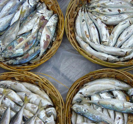 Chaoshan Fish Rice: It May Be an Experience You'VE Never Had in Your Life