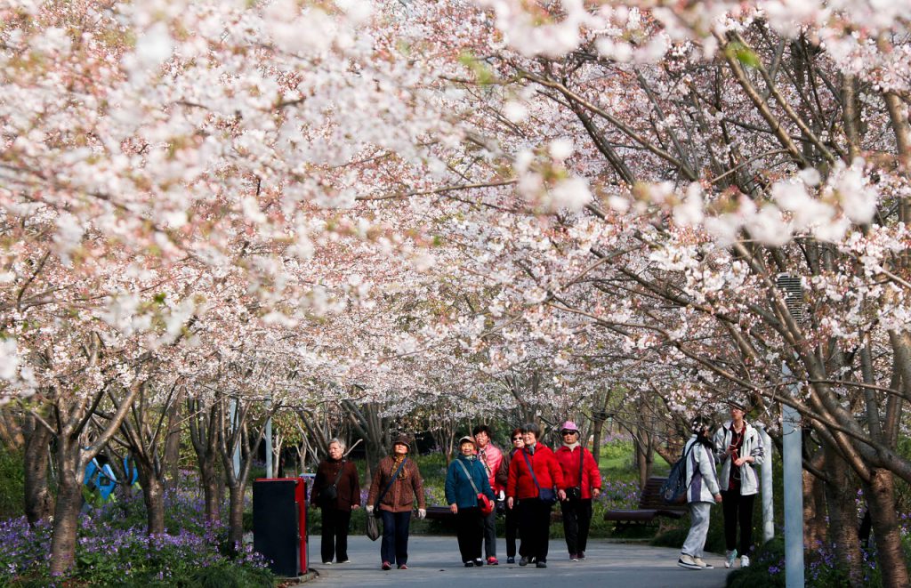 Which Is Better Shanghai or Beijing?